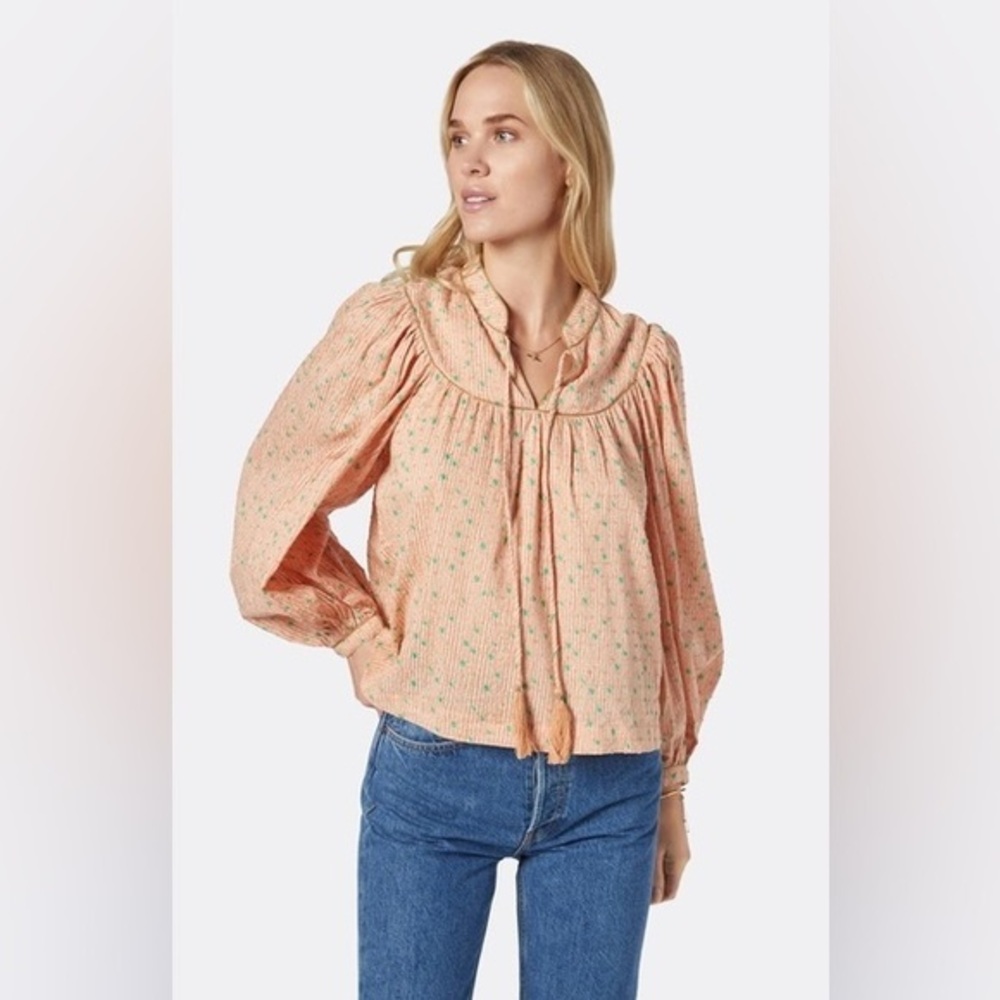 Joie Keena Boho Balloon Long Sleeve Pink Blouse women’s size xxs